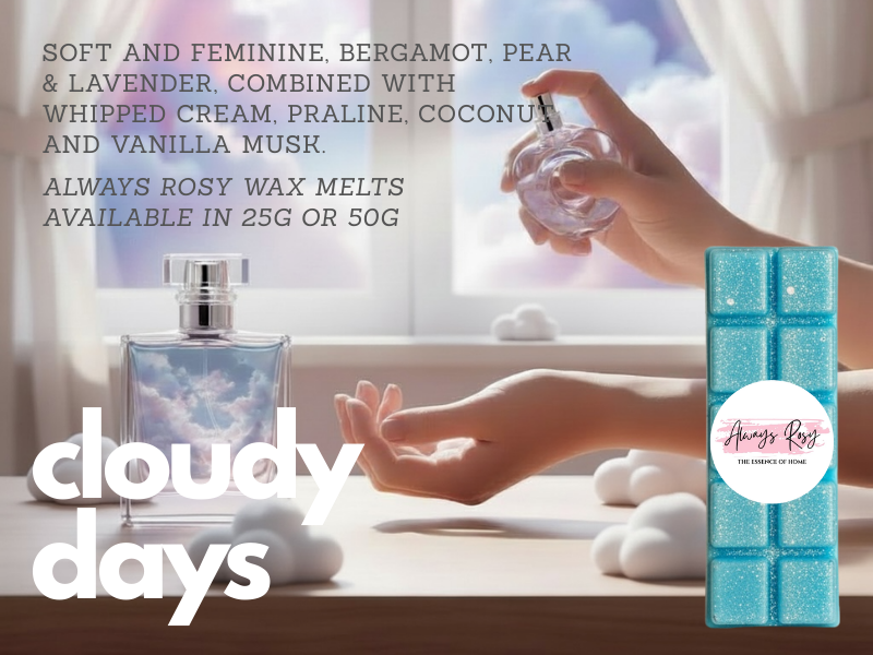 Cloudy Days Wax Melt Snap Bar